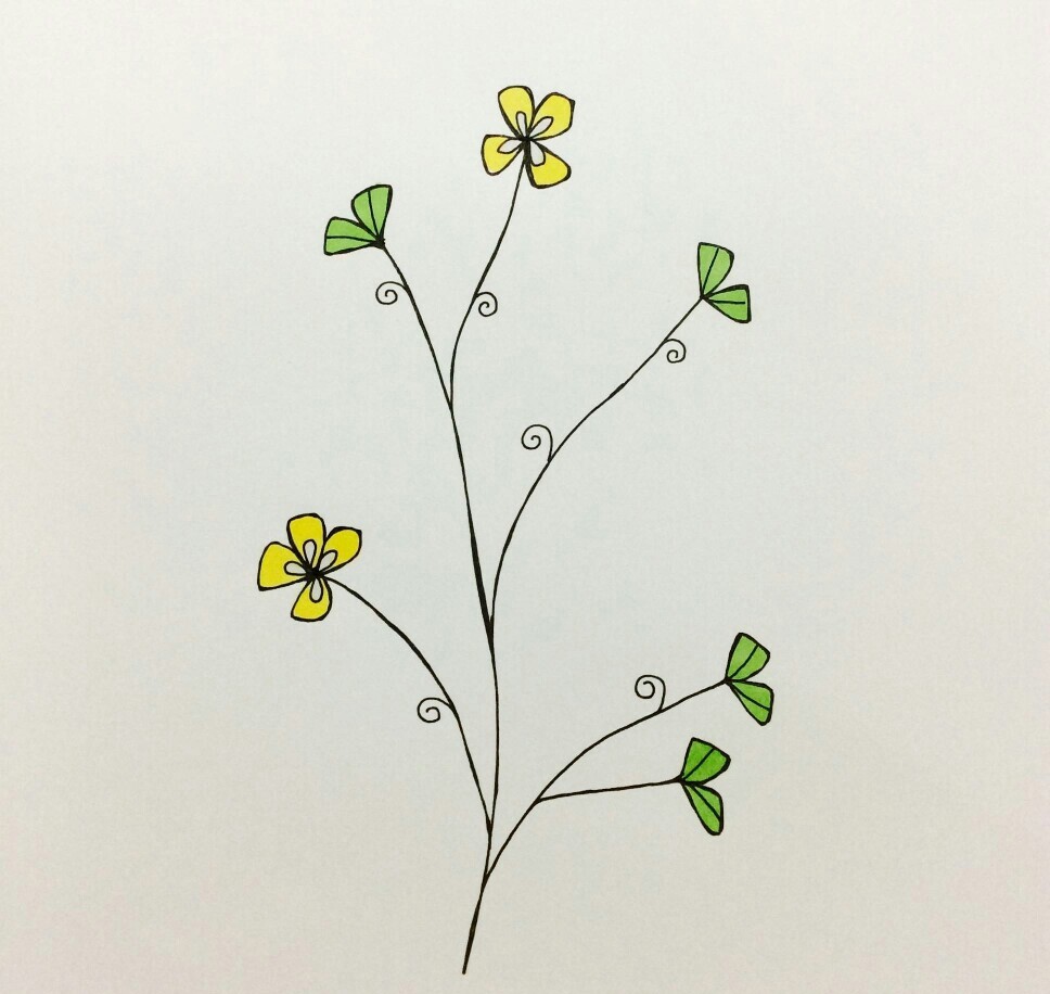 飞机