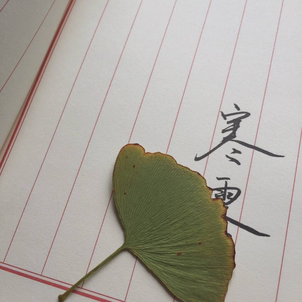 送回窝